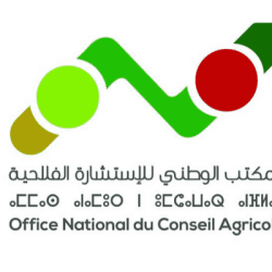 Office-National-du-Conseil-Agricole-ONCA-Concours-Emploi-Recrutement-Dreamjob.ma-1
