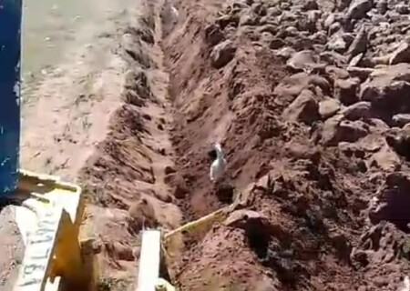 hfarming labour 3