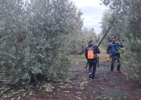 recolte1
